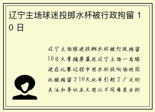辽宁主场球迷投掷水杯被行政拘留 10 日